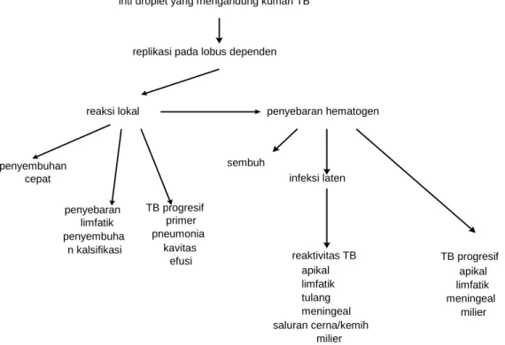 Gambar 6.2. Patogenesis Penyakit TB 