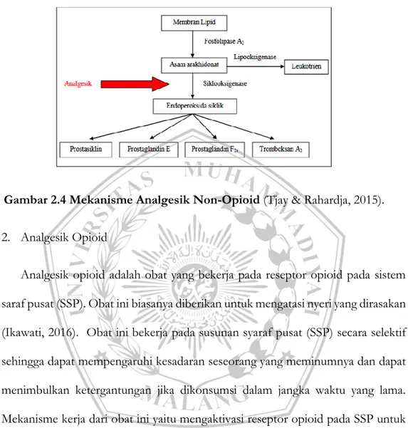 Gambar 2.4 Mekanisme Analgesik Non-Opioid (Tjay &amp; Rahardja, 2015). 