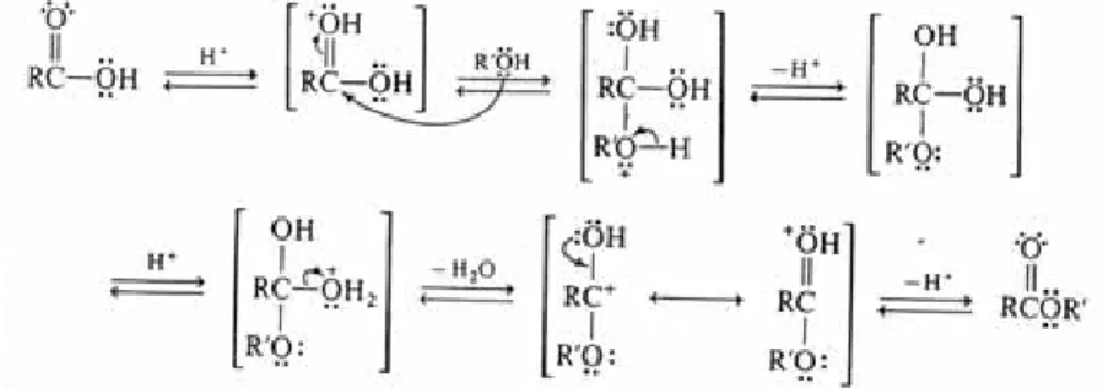 Gambar IV.2 Mekanisme reaksi esterifikasi  