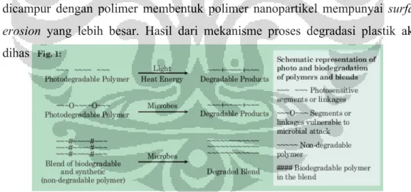 Gambar 5 memperlihatkan mekanisme degradasi polimer/plastik di alam. 