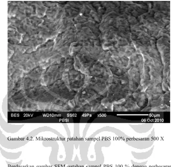 Gambar 4.2. Mikrostruktur patahan sampel PBS 100% perbesaran 500 X 