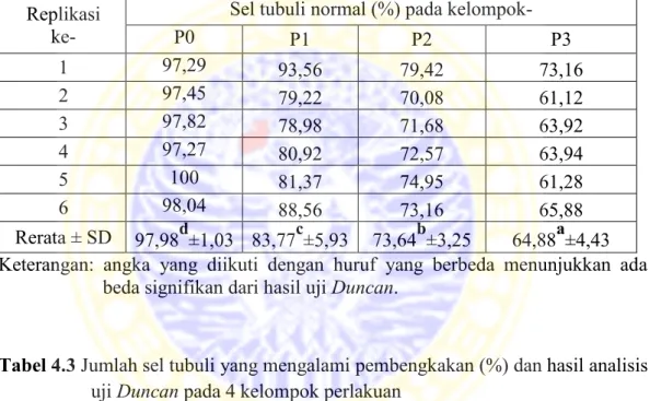 Tabel 4.2 Jumlah sel tubuli yang normal (%) dan hasil analisis uji Duncan pada 4  kelompok perlakuan   