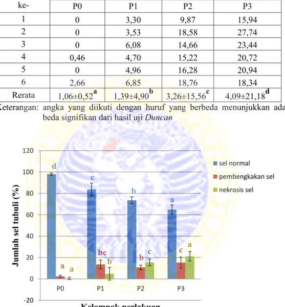 Tabel 4.4 Jumlah sel tubuli ginjal yang mengalami nekrosis (%) dan hasil analisis  uji Duncan pada 4 kelompok perlakuan   