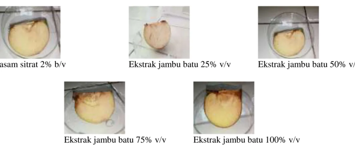 Gambar 2. Warna permukaan daging buah apel malang setelah 72 jam dalam asam sitrat 2% b/v dan ekstrak  air buah jambu batu