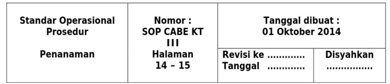 Gambar 5 . Penanaman cabai rawit 