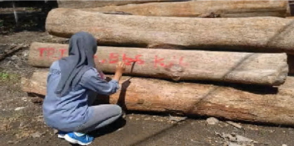 Gambar 7. Pemberian tanda pada batang Log  b.  Penumpukan Log 