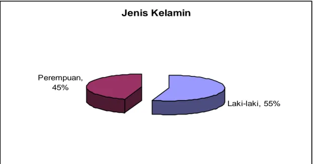 Gambar 4.1 Komposisi Responden berdasarkan Jenis Kelamin 