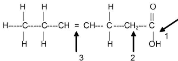 Gambar 5.  Kemungkinan terikatnya pereaksi kimia dalam proses sulfonasi     Bahan baku untuk surfaktan MES adalah metil ester yang diperoleh  dari proses esterifikasi minyak