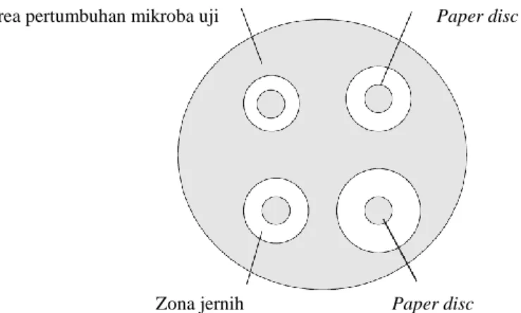 Gambar 5. Uji disc diffusion (Hogg, 2005) 