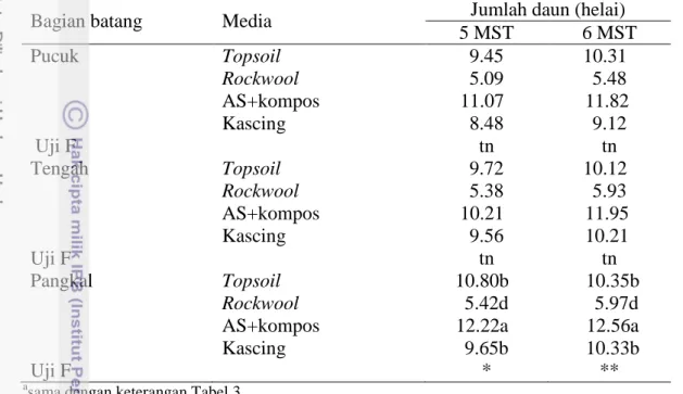 Tabel  4     Interaksi  antara setek bagian batang dan media tanam  terhadap  jumlah  daun  setek  batang  pohpohan  yang  berumur  4  bulan  pada  5  MST  dan   6 MST a