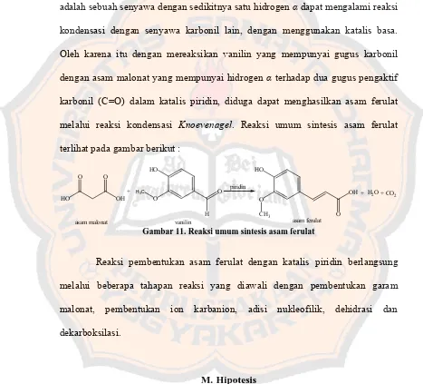 Gambar 11. Reaksi umum sintesis asam ferulat  