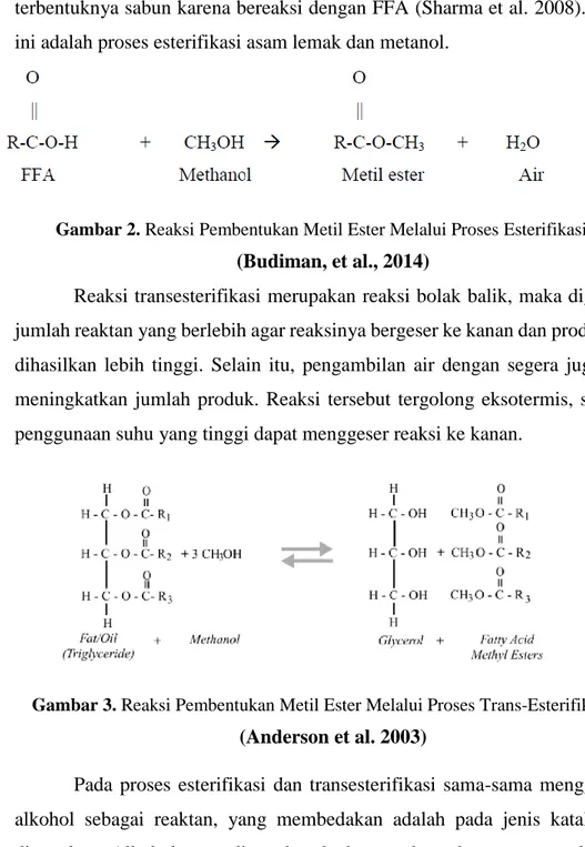 Gambar 2. Reaksi Pembentukan Metil Ester Melalui Proses Esterifikasi (Budiman, et al., 2014) 