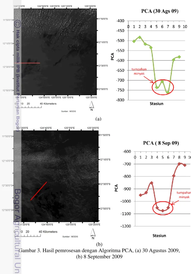 Gambar  3  dan  4  adalah  citra  MODIS  dengan  algoritma  PCA  dan  NDVI  yang  menunjukan  warna  lebih  gelap  pada  daerah  terkena  minyak  dibandingkan  yang  tidak  terkena  tumpahan  minyak  namun  kontras  antara  tumpahan  minyak  dengan  badan 