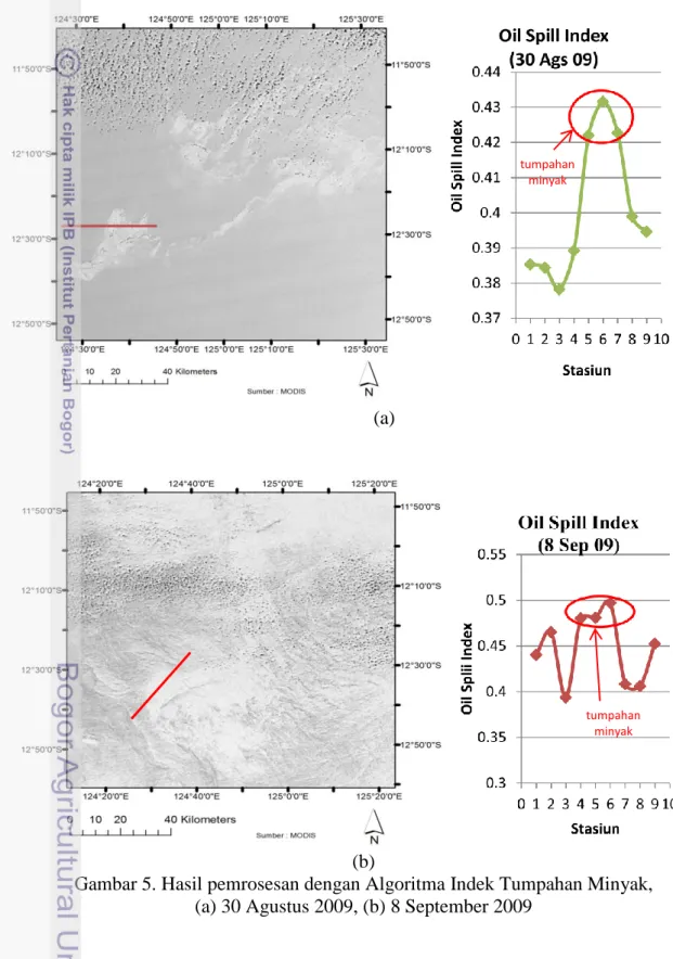 Gambar 5. Hasil pemrosesan dengan Algoritma Indek Tumpahan Minyak,   (a) 30 Agustus 2009, (b) 8 September 2009 