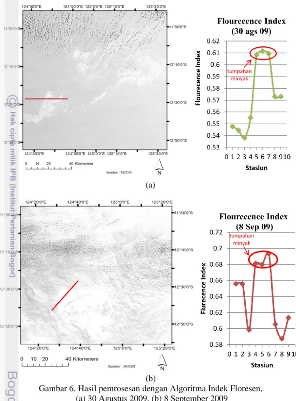 Gambar 6. Hasil pemrosesan dengan Algoritma Indek Floresen,   (a) 30 Agustus 2009, (b) 8 September 2009 