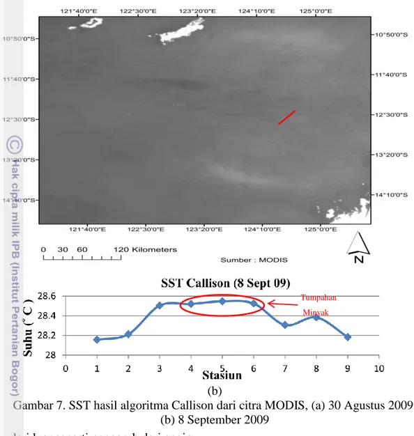 Gambar 7. SST hasil algoritma Callison dari citra MODIS, (a) 30 Agustus 2009,  (b) 8 September 2009 