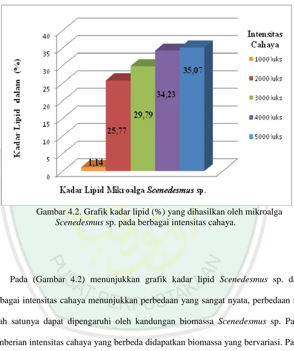 Gambar 4.2. Grafik kadar lipid (%) yang dihasilkan oleh mikroalga  Scenedesmus sp. pada berbagai intensitas cahaya