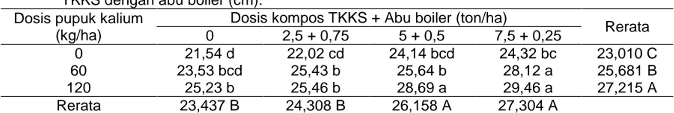 Tabel 1.  Tinggi  tanaman  bawang  merah  setelah  pemberian  pupuk  kalium  dan  campuran  kompos  TKKS dengan abu boiler (cm)