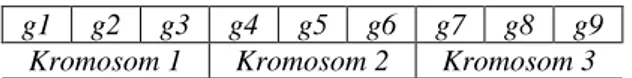 Gambar 2.8. Skema pengkodean binary encoding  Pada Gambar 2.8., g merupakan gen  yang berisi bilangan bit  1  atau  0