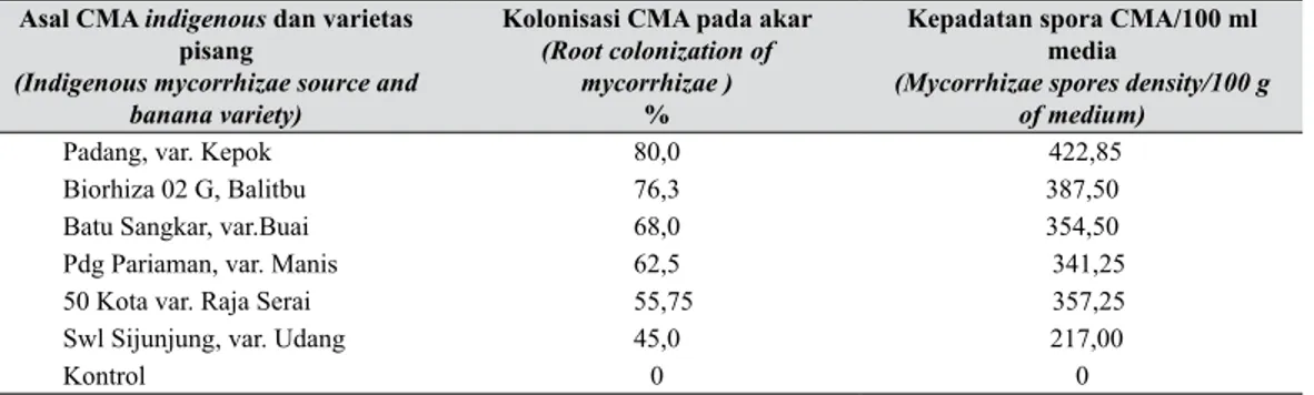 Tabel 2.   Kolonisasi akar dan kepadatan spora CMA dalam 100 ml media perakaran pisang   Ambon Hijau 16 minggu setelah inokulasi (Root colonization and density of  mycor-rhizae spores in 100 ml of medium of banana roots cv