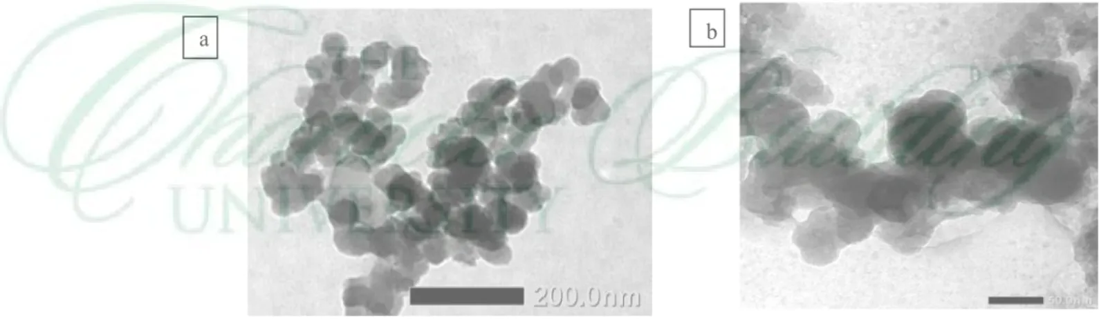 Gambar 7  Fotograf morfologi nano-kristal selulosa dengan TEM,  a) pada skala 200 nm, b) pada skala 50 nm 