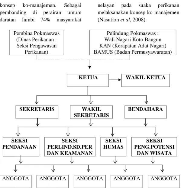 Gambar 1.  Struktur  Organisasi  Pokmaswas  Sosa,  Nagari  Koto  Bangun,  Kecamatan Kapur IX, Kabupaten Lima Puluh Kota