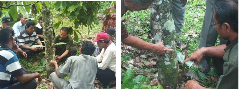 Gambar 5. Kunjungan lapangan pengolahan kakao di PT Pagilaran. 