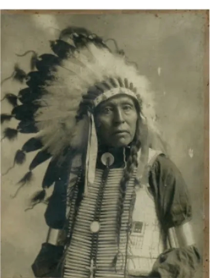 Gambar 1. 1  Topi Bulu yang Menjadi Ciri Khas Suku Indian, Amerika  sumber: http://www.mypopzone.com/2013 