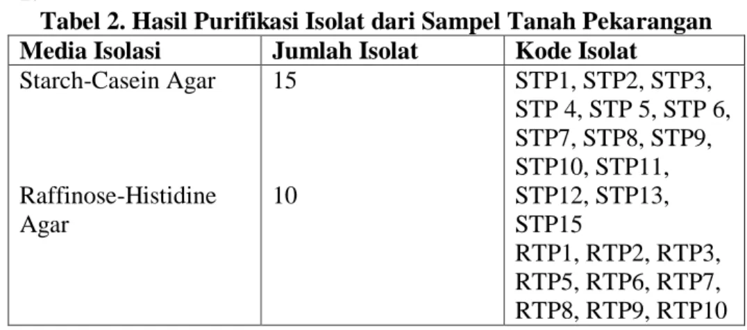 Tabel 2. Hasil Purifikasi Isolat dari Sampel Tanah Pekarangan  Media Isolasi  Jumlah Isolat  Kode Isolat 