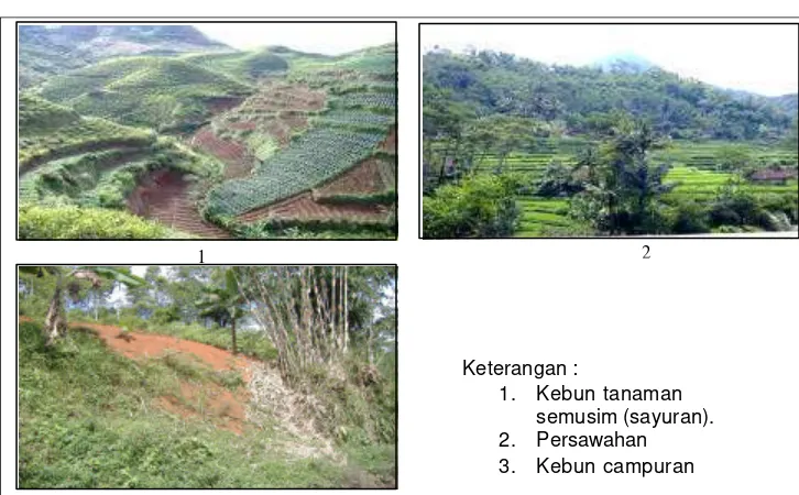 Gambar 15 menunjukkan 3 tipe penggunaan lahan, yaitu 1) kebun teh 