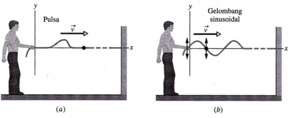 Gambar  2.2.  Ilustrasi  gelombang  transversal  pada  seutas  tali.  (a)  Sebuah  pulsa  tunggal  dikirimkan  merambat  pada  seutas  dawai  yang  teregang