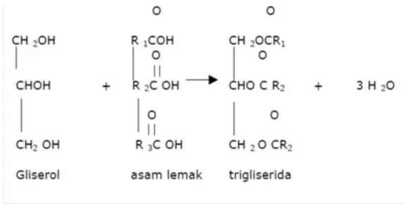 Gambar 2.Struktur Trigliserid. 11