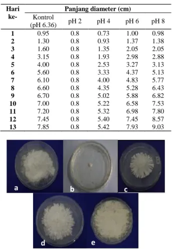 Tabel 1.  Rata2  pertumbuhan  diameter  koloni  Xylaria  sp.  per  hari  pada  media  PDA  dengan  beberapa perlakuan pH  Hari  ke-  Panjang diameter (cm)  Kontrol  (pH 6.36)  pH 2  pH 4  pH 6  pH 8  1  0.95  0.8  0.73  1.00  0.98  2  1.30  0.8  0.93  1.37