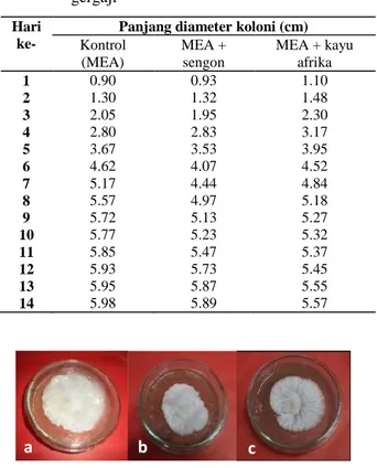Tabel 4.  Rata-rata  pertumbuhan  diameter  koloni  Xylariasp. per hari pada media MEA dengan  beberapa  perlakuan  penambahan  serbuk  gergaji 