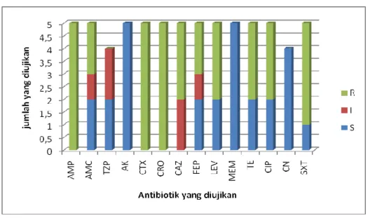 Gambar 5. Pola Resistensi Bakteri Gram-negatif Penghasil ESBL yang Berasal dari Isolat  Sputum Pasien yang Dirawat di Ruang ICU RSUD Arifin Achmad Provinsi Riau
