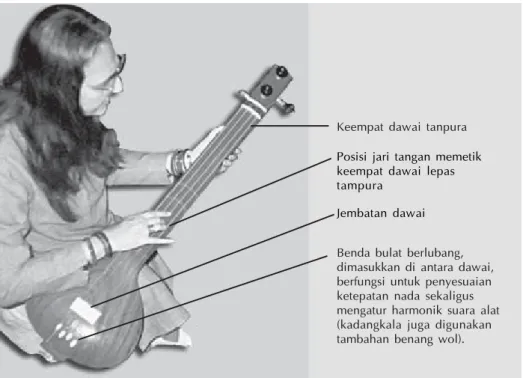 Gambar 5.6:  Tanpura India
