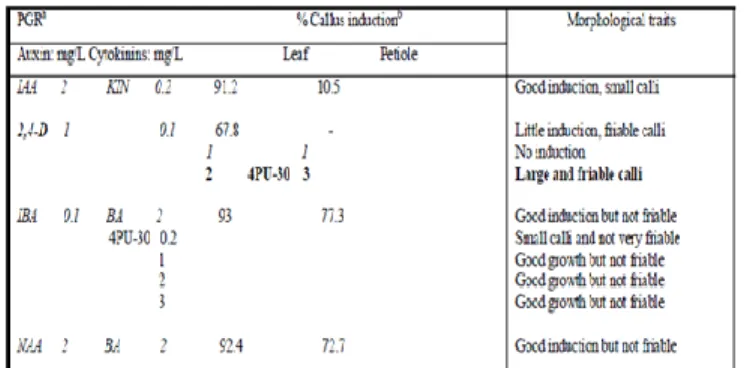 Tabel  2.  Induksi  dan  morfologi  dari  eksplan C. asiatica dalam medium MS