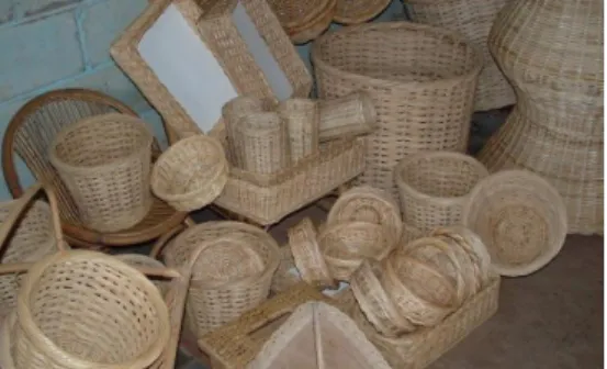 Gambar 2.1 Rotan 