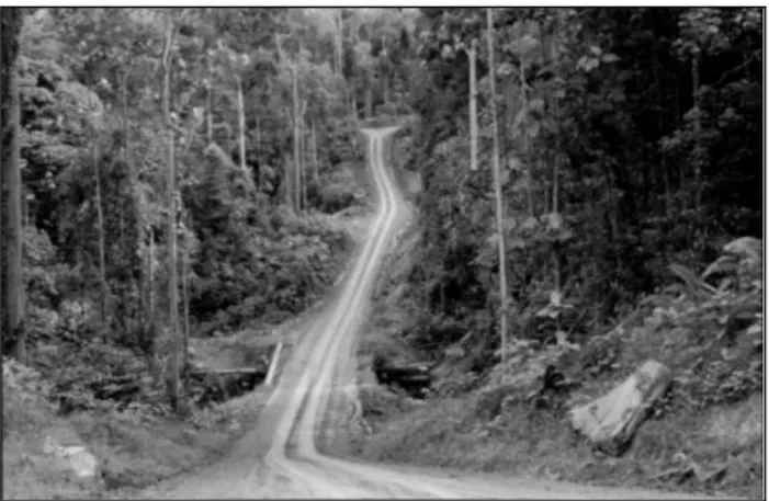 Foto 2.  Jalan yang dibangun dengan baik tanpa lebar jalan yang berlebihan (Sabah, D. Dykstra).