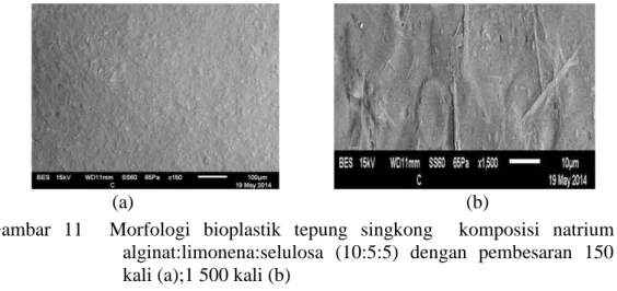 Gambar  11    Morfologi  bioplastik  tepung  singkong    komposisi  natrium  alginat:limonena:selulosa  (10:5:5)  dengan  pembesaran  150  kali (a);1 500 kali (b) 
