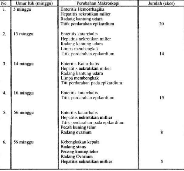 Tabel I .   Perubahan  Makroskopi  ltik  yang  Terserang  Penyakit  Kolera  yang  Diperiksa  di  Laboratorium Patologi Unggiis FKH-IPB Tahun 1992  -  1994  (N  =  72 ekor)