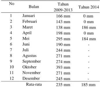 Tabel  4.    Curah  hujan  rata-rata  tahun  2009-2013  dan  curah  hujan  tahun  2014  di  Kebun  Tanjung Jati  No  Bulan  Tahun  2009-2013  Tahun 2014  1  Januari  166 mm  0 mm  2  Februari  143 mm  0 mm  3  Maret  138 mm  186 mm  4  April  198 mm  0 mm 