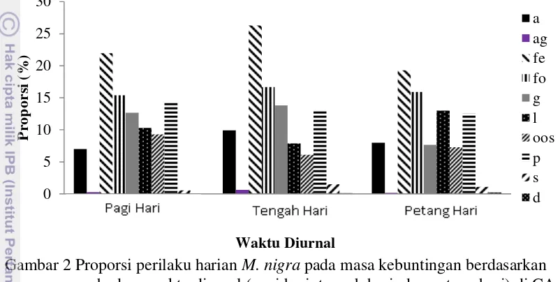 Gambar 2 Proporsi perilaku harian M. nigra pada masa kebuntingan berdasarkan  