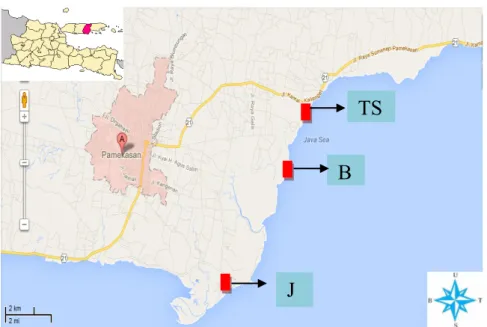 Gambar 1. Peta lokasi penelitian; B = Pantai Bengkal, J = Pantai Jumiang, TS = Pantai Talang Siringyaitu intertidal atas, tengah, dan bawah