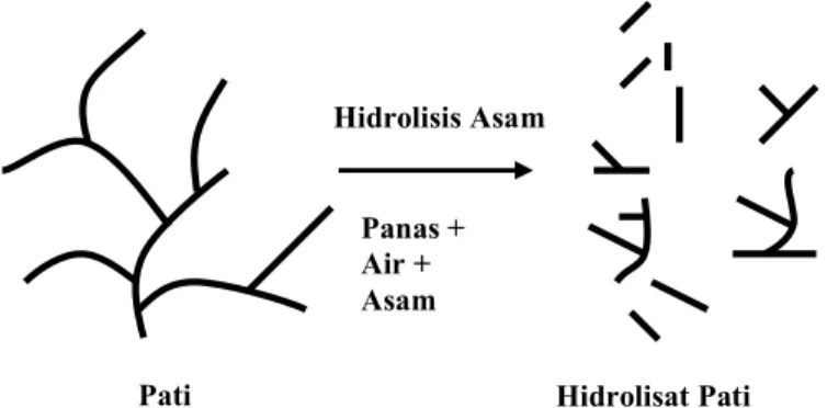 Gambar 7. Mekanisme hidrolisis pati oleh asam   [diadaptasi dari Schoch (1991) di dalam Pomeranz (1991)]