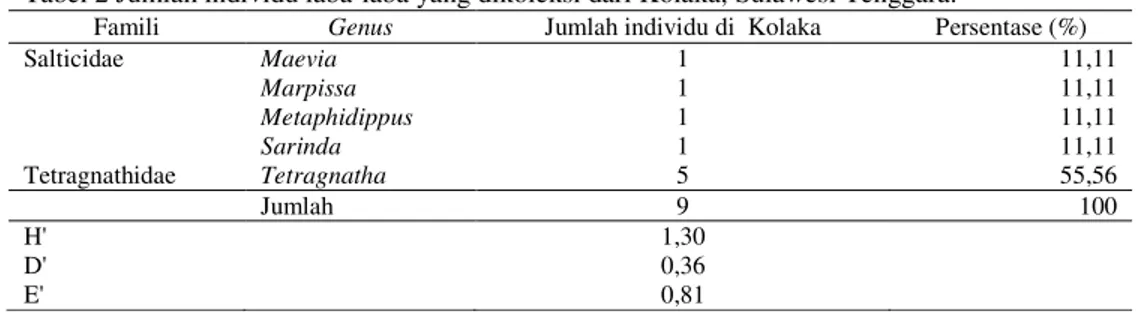 Tabel 2 Jumlah individu laba-laba yang dikoleksi dari Kolaka, Sulawesi Tenggara. 