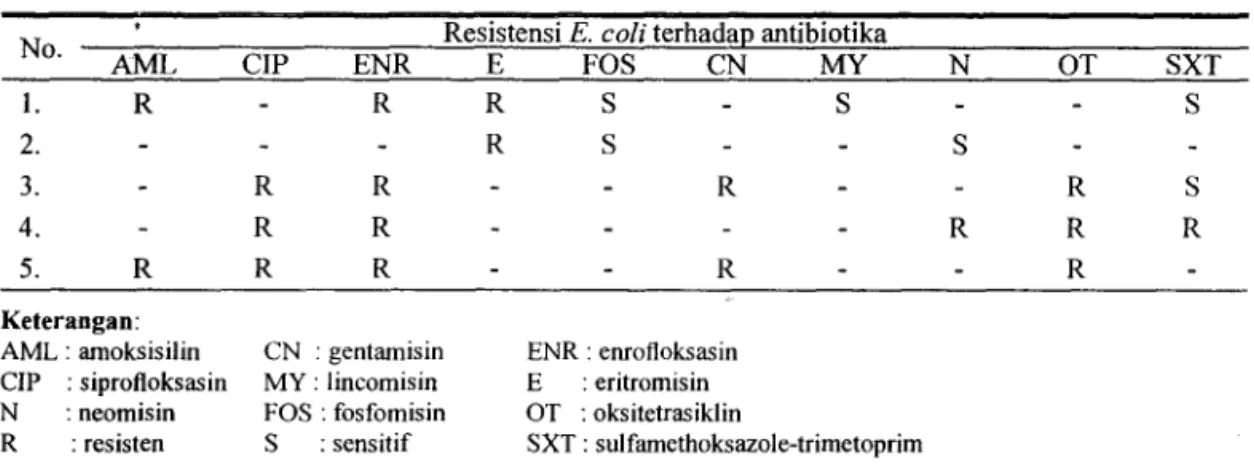 Tabel 2 . Uji resistensi isolat E. coli terhadap antibiotika