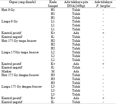 Tabel 4. Data elektroforegram hasil PCR nested-2