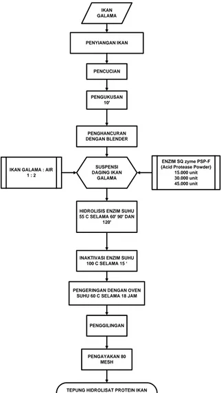 Gambar 1. Flowchart Proses Pembuatan Tepung Hidrolisat Protein Ikan Galama 