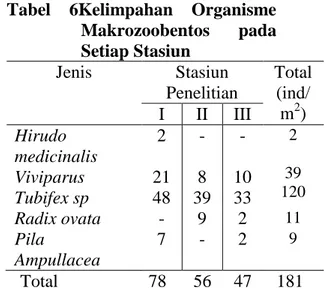 Tabel  5.  Klasifikasi  organisme  makrozoobentos  yang  ditemukan  selama  penelitian  di  Sungai  Senapelan  